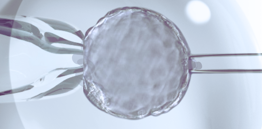 PGT-A Biopsia de embrión