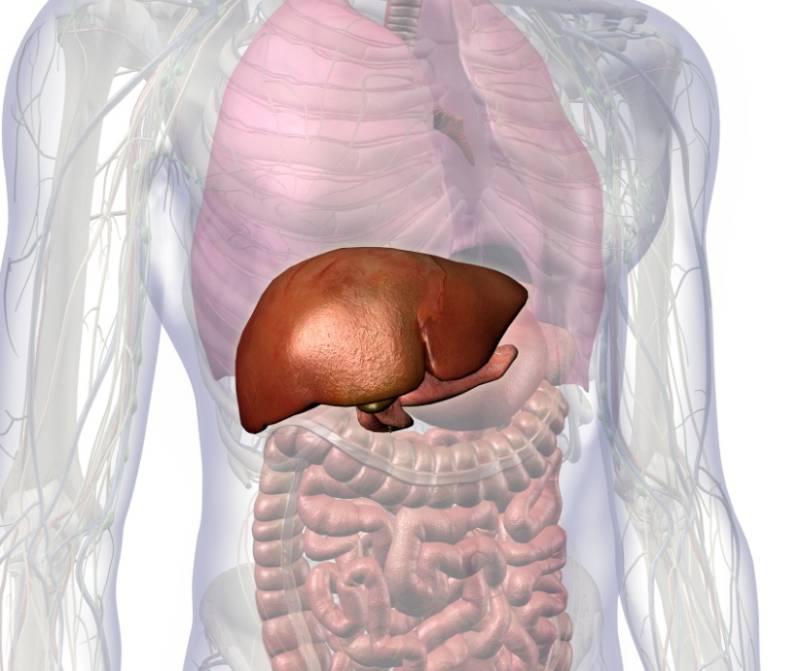 Cirugía hepatobiliar y pancreática
